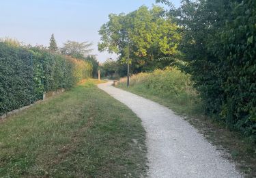 Randonnée Marche Marcoussis - 150825 - Photo