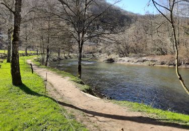 Tour Wandern Dinant - Dinant - Anseremme - Photo