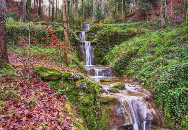 Excursión A pie Wald (ZH) - Wald - Farneralp - Photo