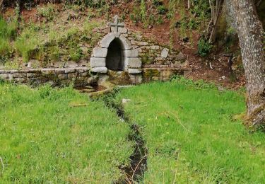 Trail Walking Saint-Germain-Lavolps - Fred st Germain lavolps - Photo