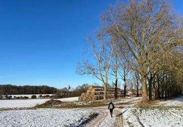 Tour Wandern Jemeppe-sur-Sambre - La petite boucle de Onoz - Photo