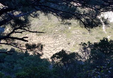 Tour Nordic Walking Saint-Guilhem-le-Désert - St Guilhem Via Tolosana Max Nègre 21 janv 2023 - Photo