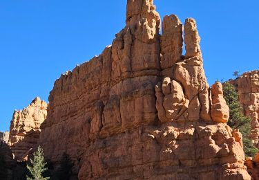 Trail Walking  - 2024 Red Canyon tour - Photo