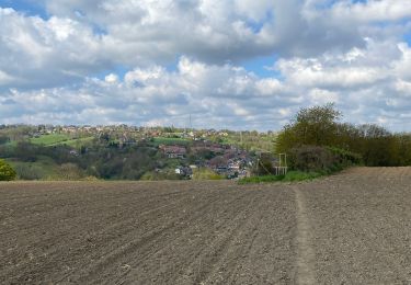 Tocht Stappen Blegny - Point de vue long - Photo