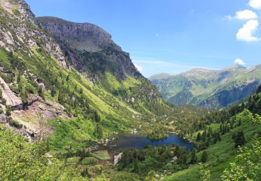 Randonnée A pied Quarten - Murgsee-Merlen - Photo