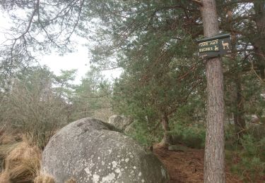 Randonnée Marche Fontainebleau - barbizon 16 mars 2021  - Photo