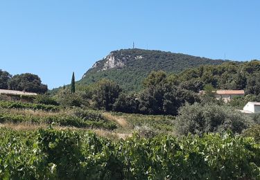 Tocht Stappen Suzette - Suzette St Amand Pas du Loup - Photo