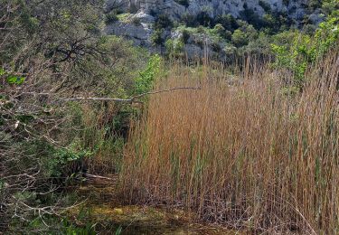 Randonnée Marche Poulx - Poulx la Baume par balcon et ruisseau - Photo