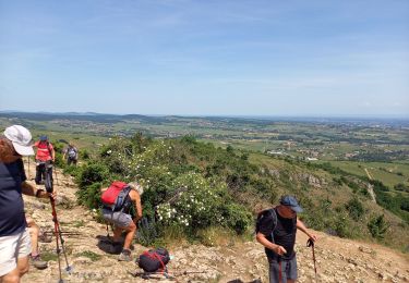 Randonnée Marche Prissé - prisse - Photo