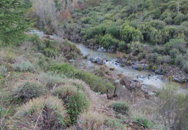 Tour Wandern Tanneron - z chemin charretier 30-10-18 - Photo