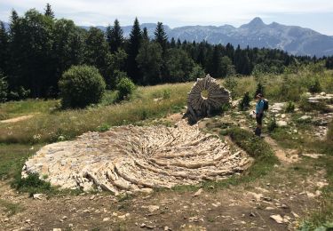 Randonnée Marche Saint-Martin-en-Vercors - La Sambue et le belvedere de Chateau Julien - Photo