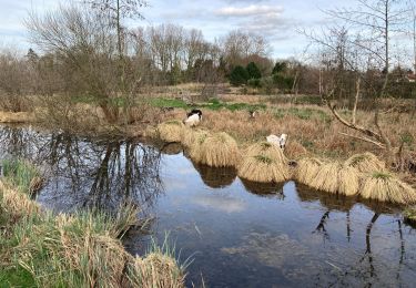 Trail Walking Bray-sur-Somme - Bray sur Somme - Photo