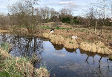 Tocht Stappen Bray-sur-Somme - Bray sur Somme - Photo