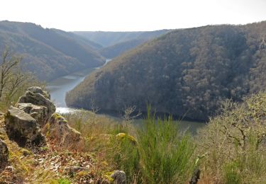 Trail Walking Bassignac-le-Haut - 157 TraceGps issued - Photo