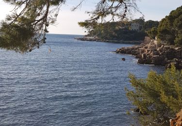 Excursión Senderismo Bandol - baie des nations - Photo