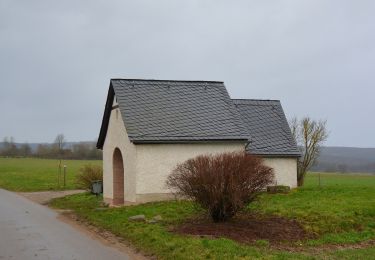 Tocht Te voet Rhens - Traumpfad Wolfsdelle - Photo