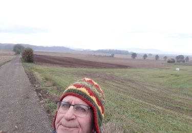 Trail Walking Heimsbrunn - 2019.11.19.HeimEtangGaĺGal.ForetBurn,retourParHauliburg - Photo