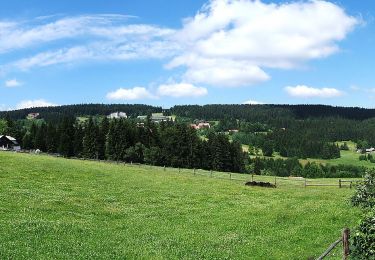 Percorso A piedi Stachy - Okružní trasa Churáňov - Photo