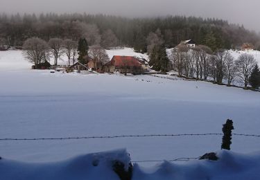 Randonnée Marche Breitenbach - col de la charbonnière - Photo