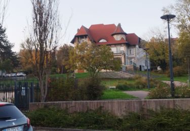 Tocht Stappen Nancy - Randonnée du jour  - Photo