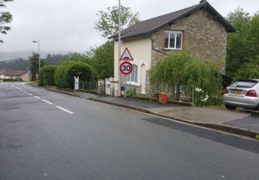 Excursión A pie Celles-sur-Durolle - Le Puy d'Oscot - Photo