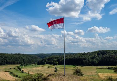 Trail On foot Lichtenfels - Verbindungsweg Köttel - Hoher Bühl - Photo