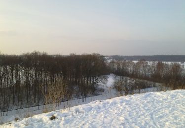 Tocht Te voet Schwebheim - Rundwanderweg durch die Gemarkung Schwebheim - Photo