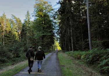 Tour Zu Fuß Michelstadt - Rundwanderweg Römerbad 6 - Photo