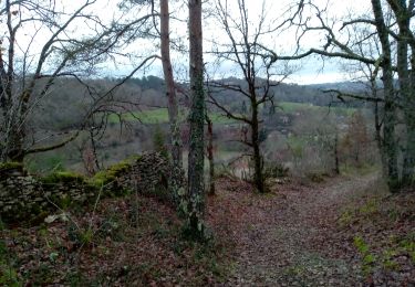 Trail Walking Le Bugue - Le Bugue 17,8km - Photo
