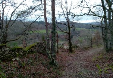 Percorso Marcia Le Bugue - Le Bugue 17,8km - Photo