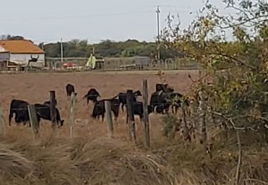 Randonnée Vélo de route Agde - bezier aide  - Photo