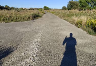 Randonnée Course à pied Narbonne - Cap 5kms - Photo