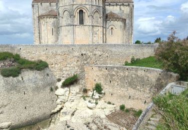 Excursión Senderismo Talmont-sur-Gironde - Petit tour dans Talmont sur gironde - Photo