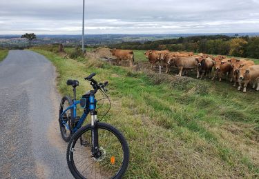 Percorso Mountainbike Vallon-en-Sully - 25.10.2021 Vallon-Nassigny-Maillet - Photo