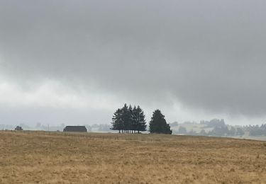 Tour Wandern Pailherols - Pailherols chapelle du Cantal  - Photo