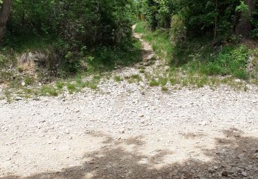 Trail Walking Marsanne - Marsanne 4 - Photo
