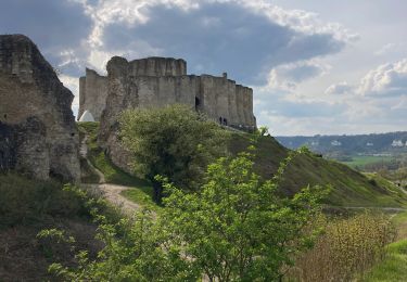 Tour Wandern Les Andelys - Les falaises de craies des Andelys  - Photo