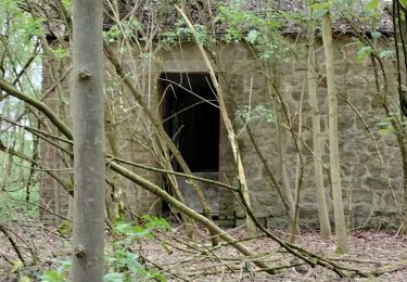 Percorso Marcia Jemeppe-sur-Sambre - menhir - Photo