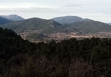 Trail Walking Rougiers - piegu  et St Jean  rougiers - Photo