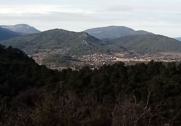 Tocht Stappen Rougiers - piegu  et St Jean  rougiers - Photo