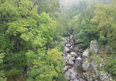 Tour Wandern Pont de Montvert - Sud Mont Lozère - Le Pont de Montvert - Gasbiel - Photo