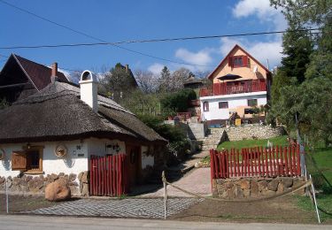 Percorso A piedi Pákozd - P▲ (Sukoró, Z - Barlang-kút) - Photo