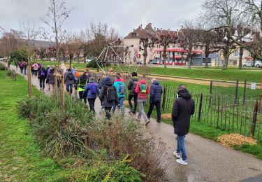 Tocht Stappen Château-Thierry - RandoDimanche à Château-Thierry du 11-02-2024 - Photo