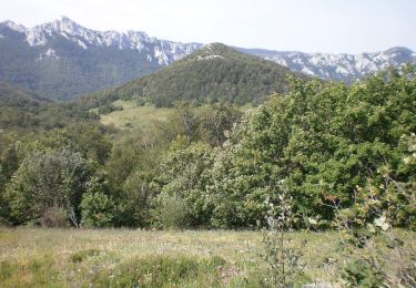 Tour Zu Fuß  - Oštri Kozjak Iz Jadovna - Photo