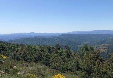 Tocht Stappen Pont de Montvert - Sud Mont Lozère - Signal du Ventalon - Photo