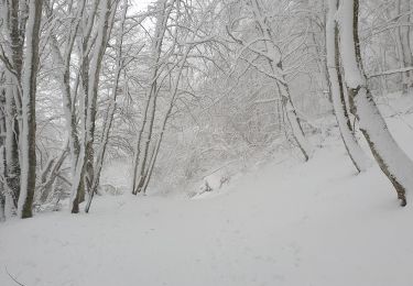 Tocht Stappen Orcines - sarcoui - Photo