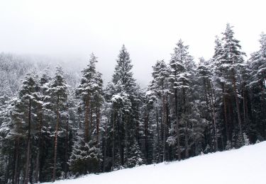 Tour Zu Fuß Teser - Troso de Slavin - Photo