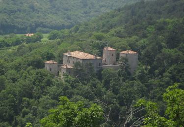 Trail On foot Cormòns - Iter Aquileiense - variante per l'Abbazia di Rosazzo - Photo