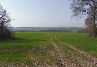 Tour Wandern Ymare - 20210302-Ymare - Photo