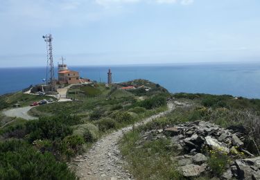 Trail Walking Port-Vendres - cap bear - Photo